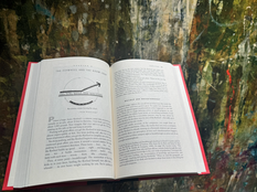 From Good to Great: What I Learned About Leadership and Long-Term Success