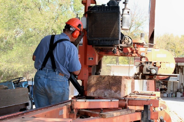 pecan+from+willis+creek+21.jpeg