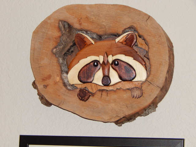 Raccoon in hollow, Theresa T. 0333