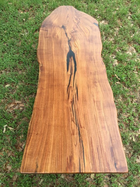 Abby Rustin pecan 3