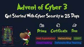 Advent of Cyber 2021 Day 3 - Web Exploitation
