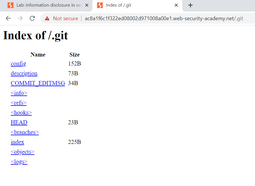 Information Disclosure With Port Swigger