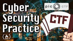 Binary Exploitation - PicoCTF- Stonk - 20 points