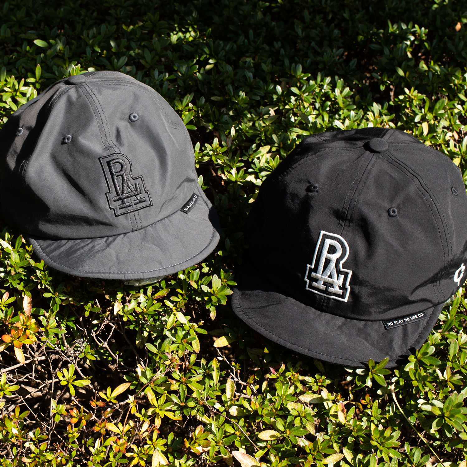 P01 × Clef CAP 2025