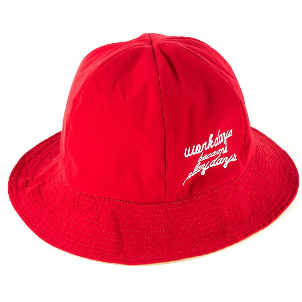 サムネイル： P01 (プレイ) PLAY RV HAT