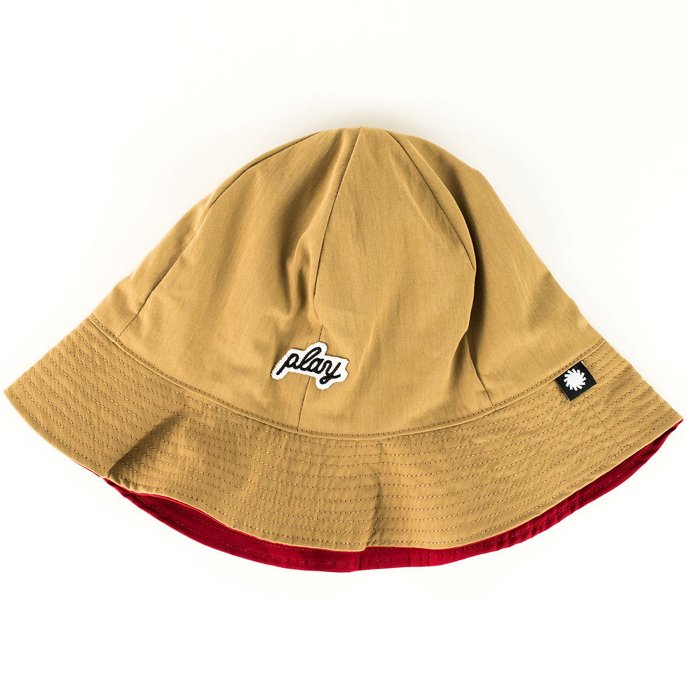 サムネイル： P01 (プレイ) PLAY RV HAT