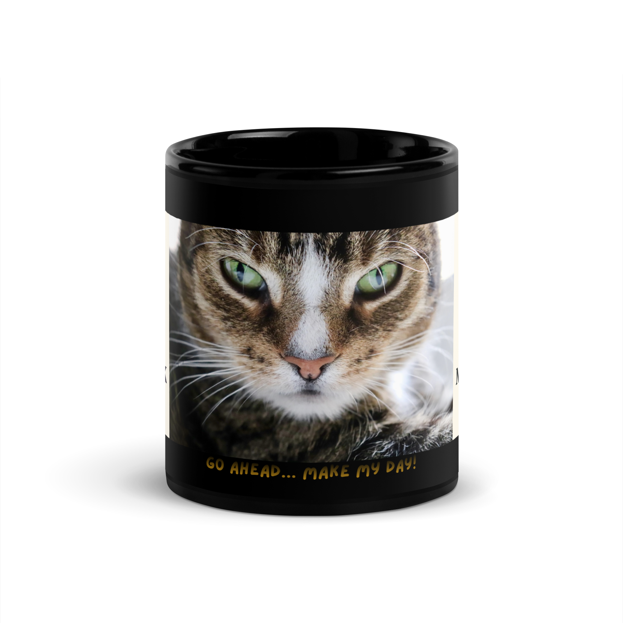 Furry Friends - Cats