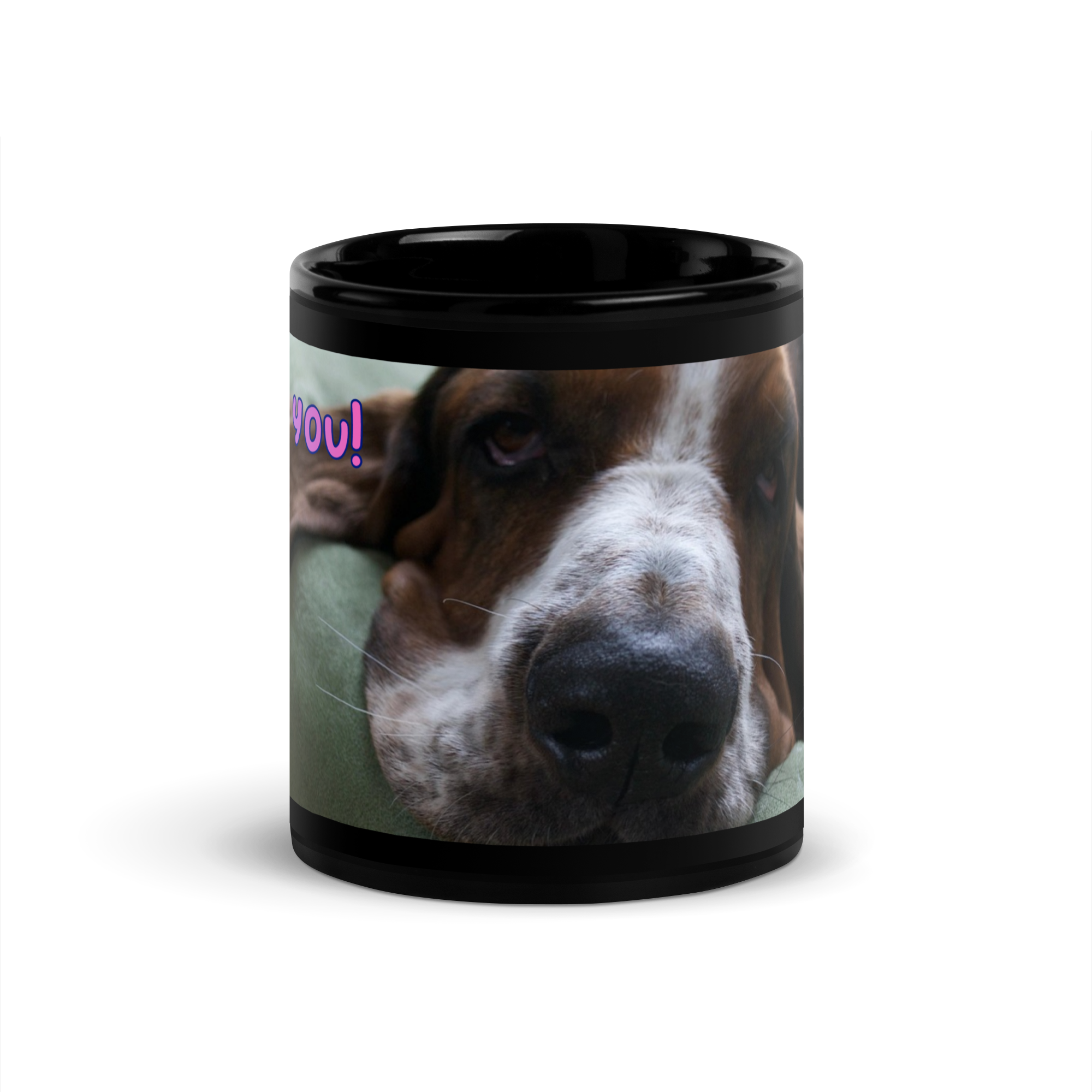 Furry Friends - Dogs