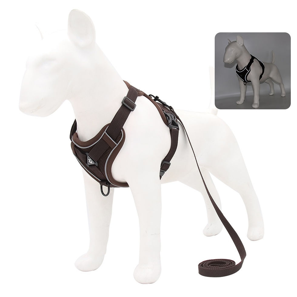 Miniatura: Guia Peitoral Ajustável Premium para Pets