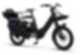 Longtail électrique Gitane