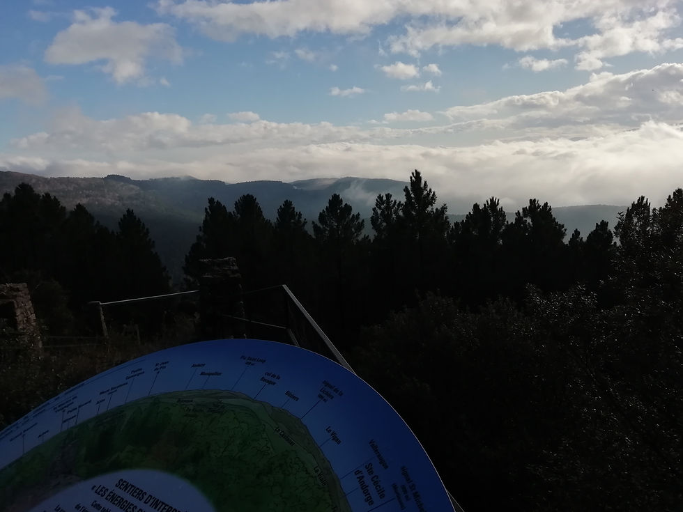 Point de vue