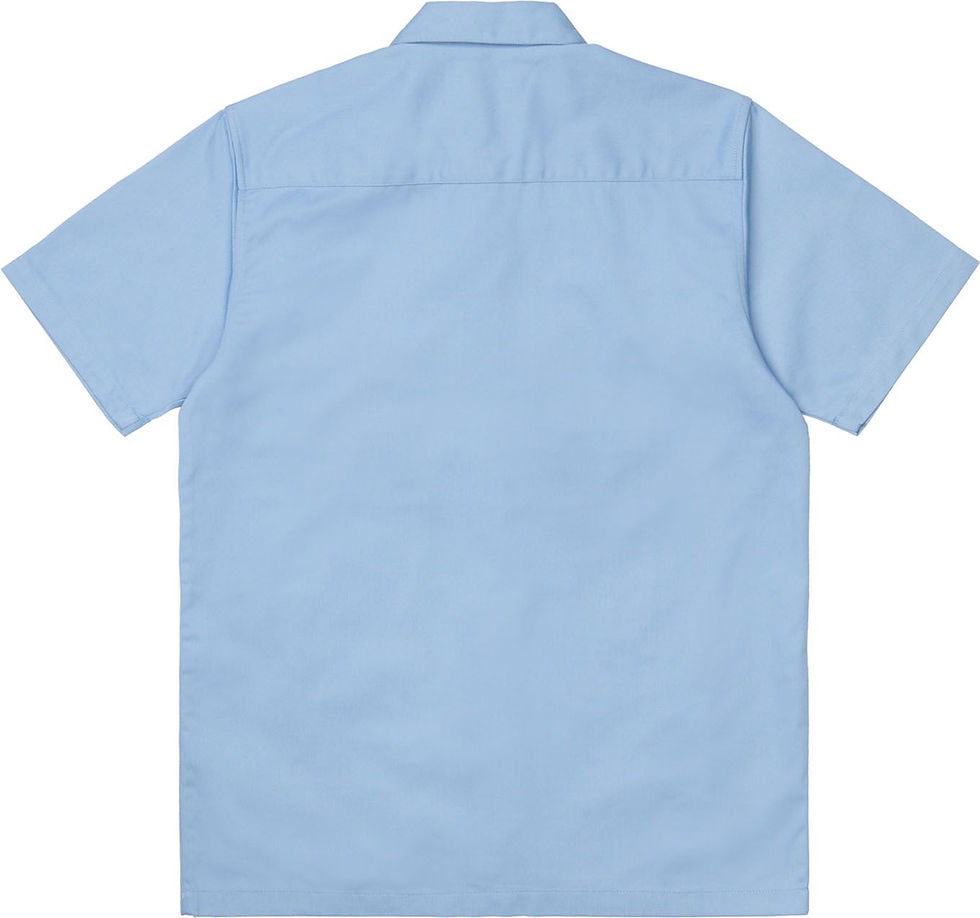 Küçük resim: Carhartt WIP Master Workshirt  SS