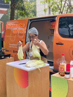 Parada 28: Teixeiras-MG, 14 de novembro de 2025