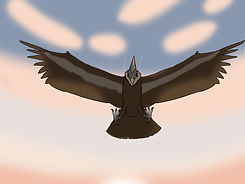 skywing.jpg