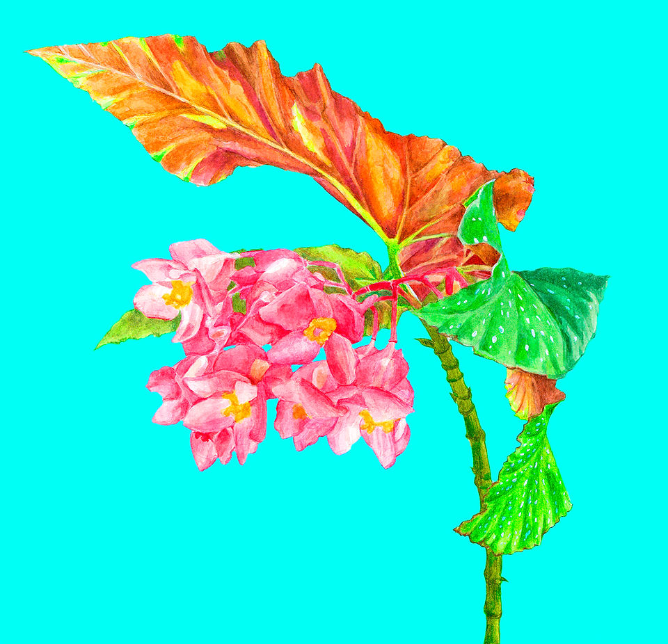 Using only saturated colors