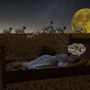 Dossier SOMMEIL - III - Les diverses formes d'Insomnie et leurs causes