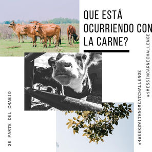 Un Mes Sin Carne