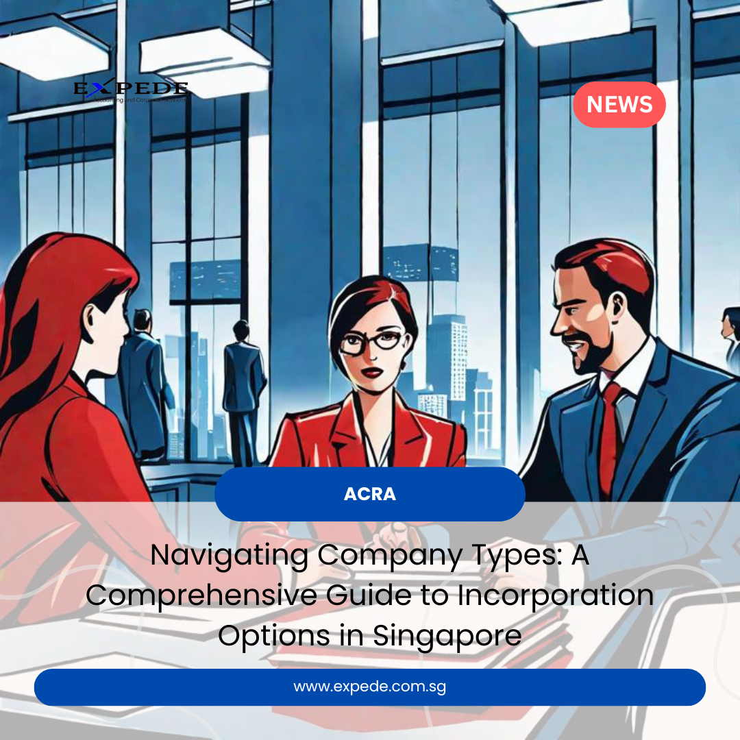 Navigating Company Types: A Comprehensive Guide to Incorporation Options in Singapore