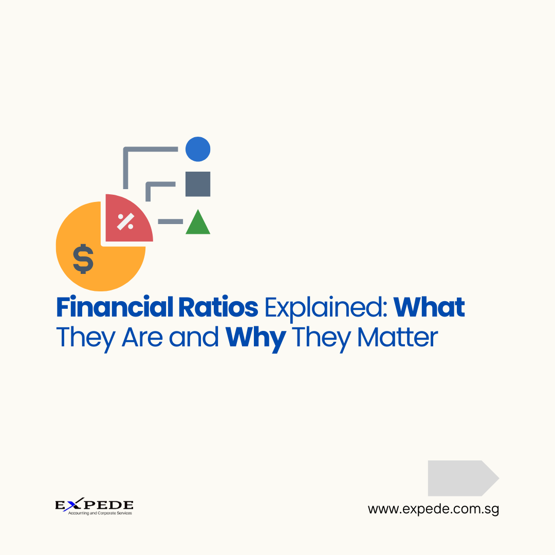 Financial Ratios Explained: What They Are and Why They Matter