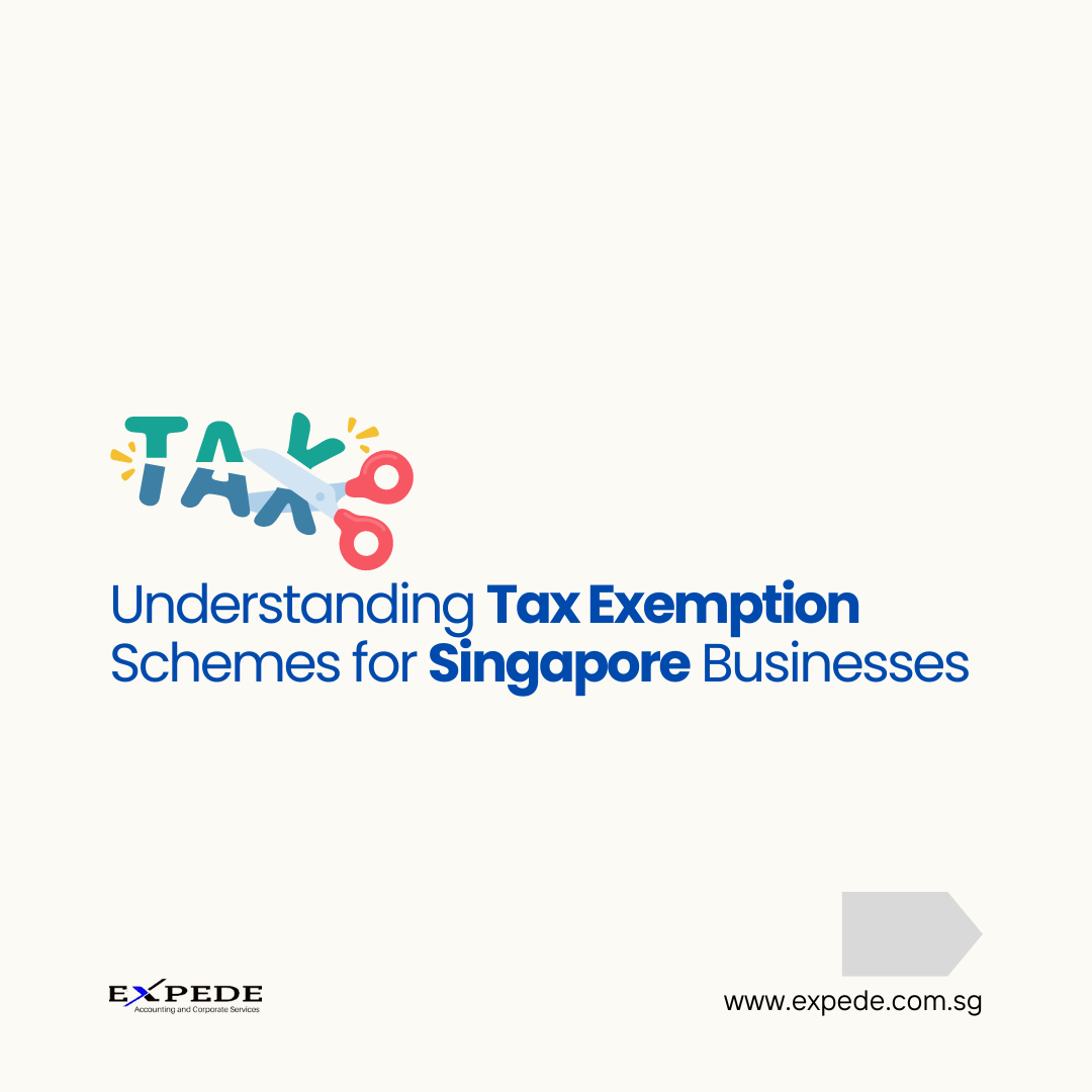 Understanding Tax Exemption Schemes for Singapore Businesses