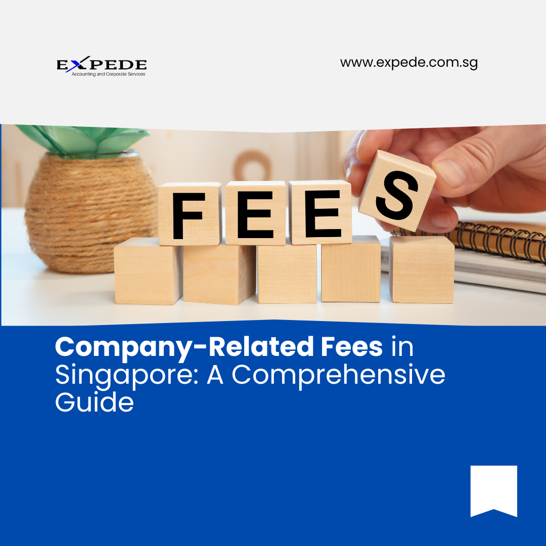 Company-Related Fees in Singapore: A Comprehensive Guide