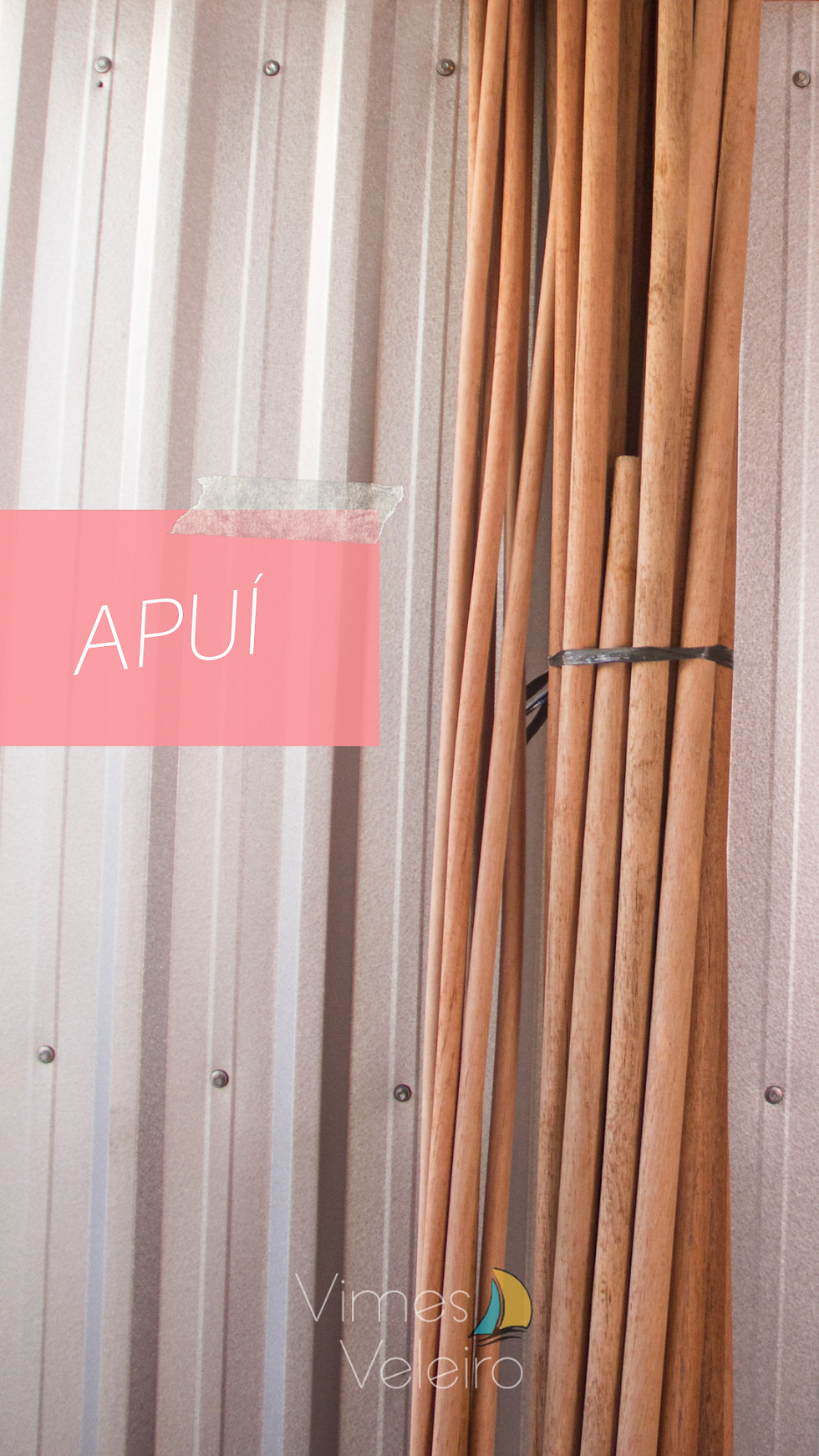 apuí