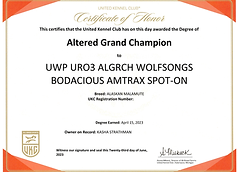 Altered Grand Champion - Amy