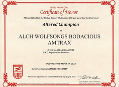 Altered Champion - Amy