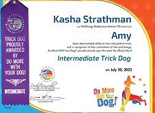 Intermediate Trick Dog - Amy