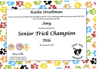 Amy Senior Trick Champion.png