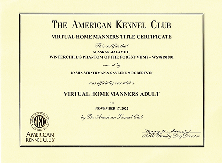 Badger Virtual Home Manners Adult.png