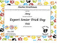Amy Expert Senior Trick Dog.png