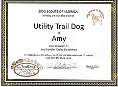 Utility Trail Dog - Amy