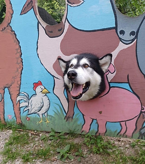 307636459_5893087294035190_3972451920926561538_n (1).jpg