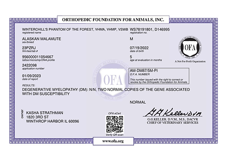 OFA Degenerative Myelopathy.png