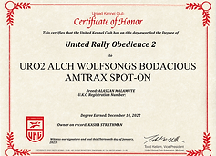 United Rally Obedience 2 - Amy