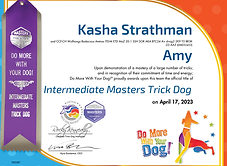 Intermediate Masters Trick Dog - Amy