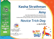 Novice Trick Dog - Amy