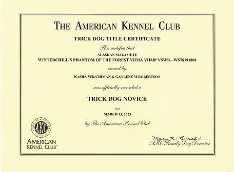 Trick Dog Novice.png