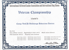 Veteran Champion Amy