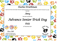 Amy Advance Senior Trick Dog.png