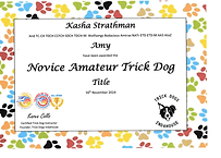 Amy Novice Amateur Trick Dog.png
