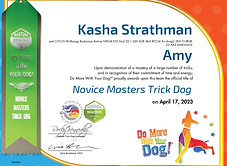 Novice Masters Trick Dog - Amy
