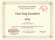 Pack Dog Excellent - Amy