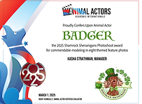Badger Shamrock Shenanigans 2025