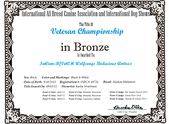 Veteran Champion in Bronze Amy