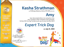 Expert Trick Dog - Amy