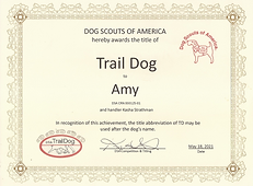 Trail Dog - Amy
