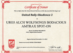 United Rally Obedience 3 - Amy