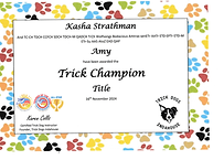 Amy Trick Champion.png